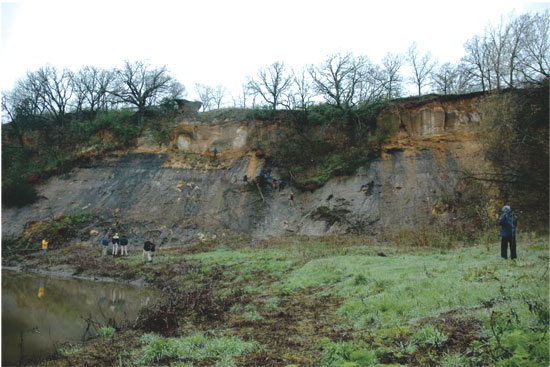 Cutbank exposures of the Soloman River near Salina. Photo by Fred J. Anderson, North Dakota Geological Survey