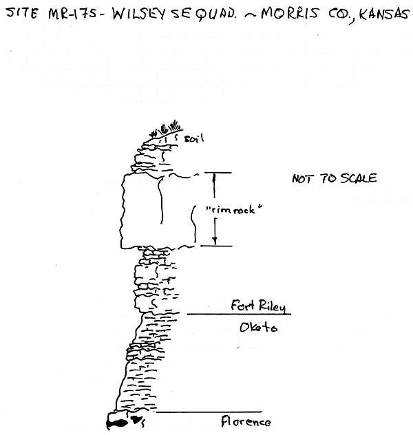 Measured sections for MR-175.