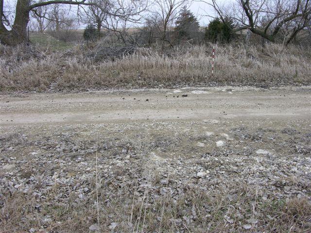 Color photo of exposure 251.