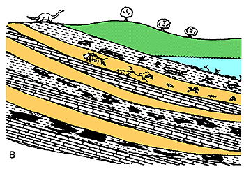 buried organic matter is heated and compressed, changing into petroleum