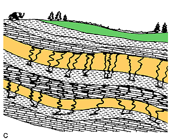 petroleum moves up until it is stopped by a rock that is not porous