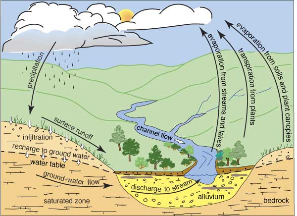 Example of stream cross section plot made for use in the scientists