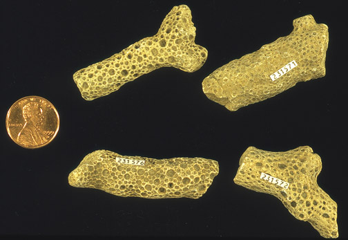 Coral pieces; branch like, but made of lacy, porus stone.