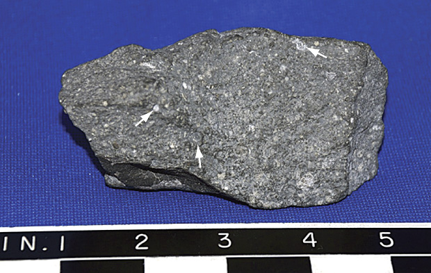 Carbonaceous chondrite