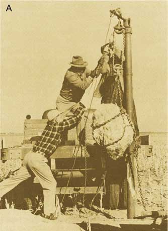 Old sepia photo of men with winch lifting large meteorite, larger than a bushel basket.