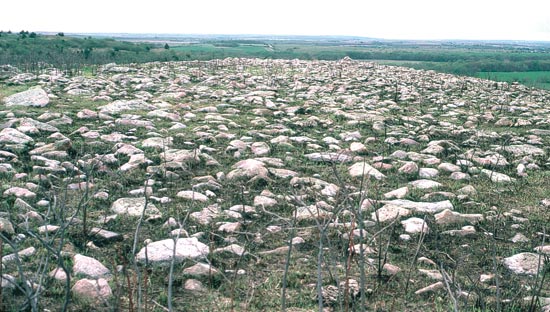 Photo of hilltop covered with quartzite boulders.