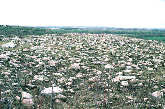 Glacial erratics.