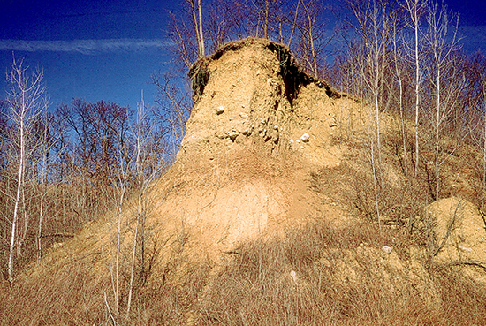 Loess bank.