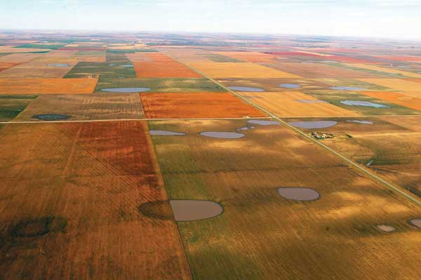 Aerial photo of playas; some green in fields but mostly oranges and browns; water seen in playas.