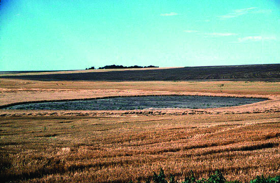 Photo of playa in Cheyenne County with no water, surrounded by brown grasslands.
