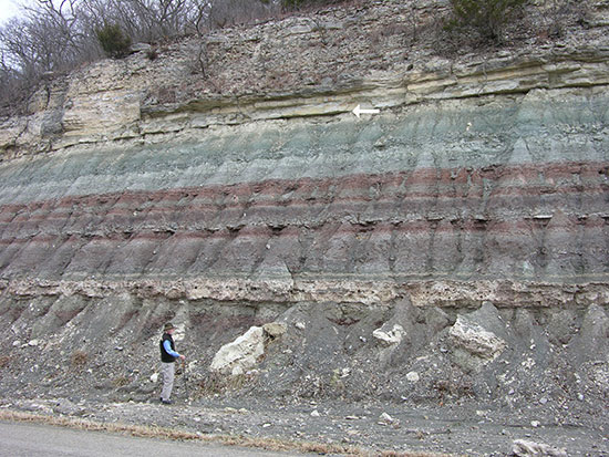Color photo of a geologist standing next to a roadcut showing many layers of blue, red, and tan rocks, some thick and resistant to erosion and some thin and soft.