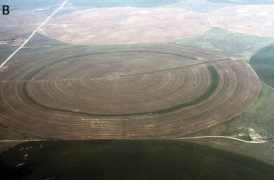 Aerial photo shows distinctive circular growing area of center-pivot irrigation equipment.