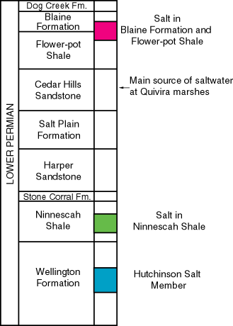 Salt in Blaine Fm, Flower-pot Sh, Ninnescah Sh, and Hutchinson Salt Mbr