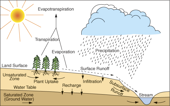Water moves in cyclae from atmosphere to surface and plants to underground storage.