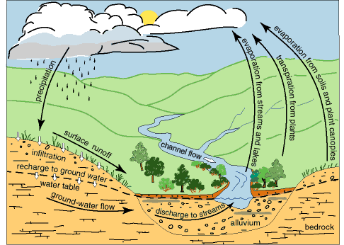 Water cycles through atmosphere, surface, plants, animals, ground water.