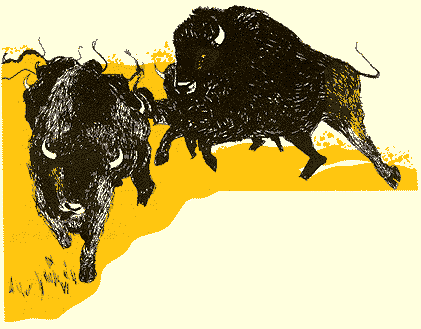 Pen and ink drawing of two bison running.