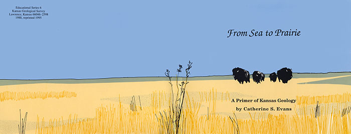 small image of the cover of the book; colored drawing of Kansas prairie scene.