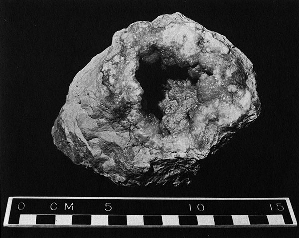 Black and white photo of a geode.