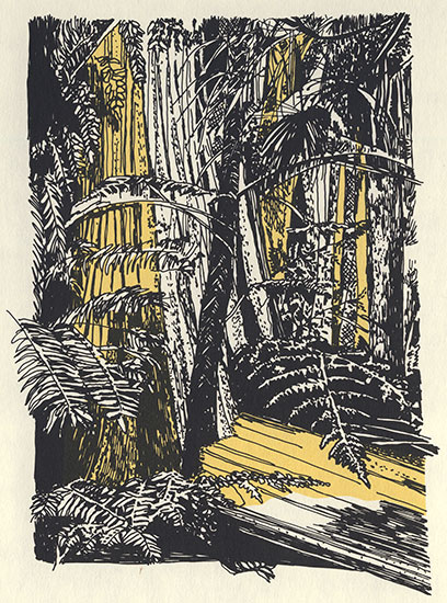 Pen and ink drawing of a swampy forest that may have turned into coal.