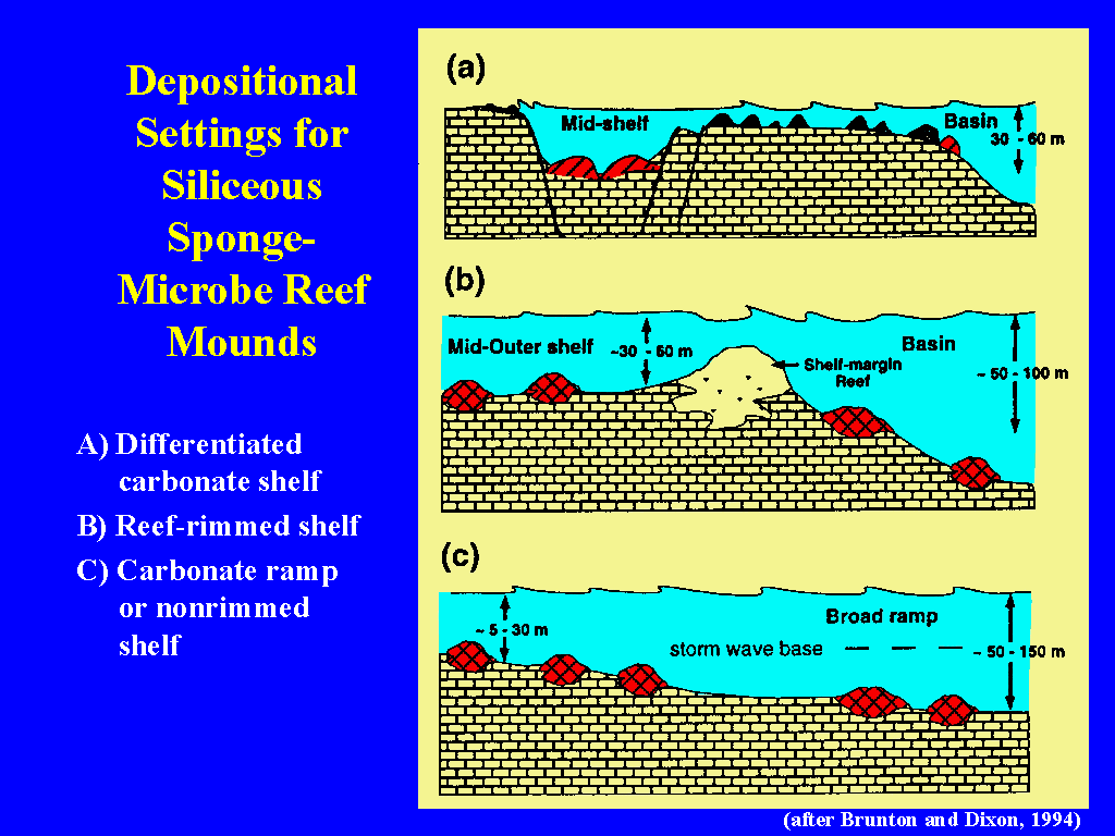Depositional Settings For Siliceous Sponge Microbe Reef Mounds